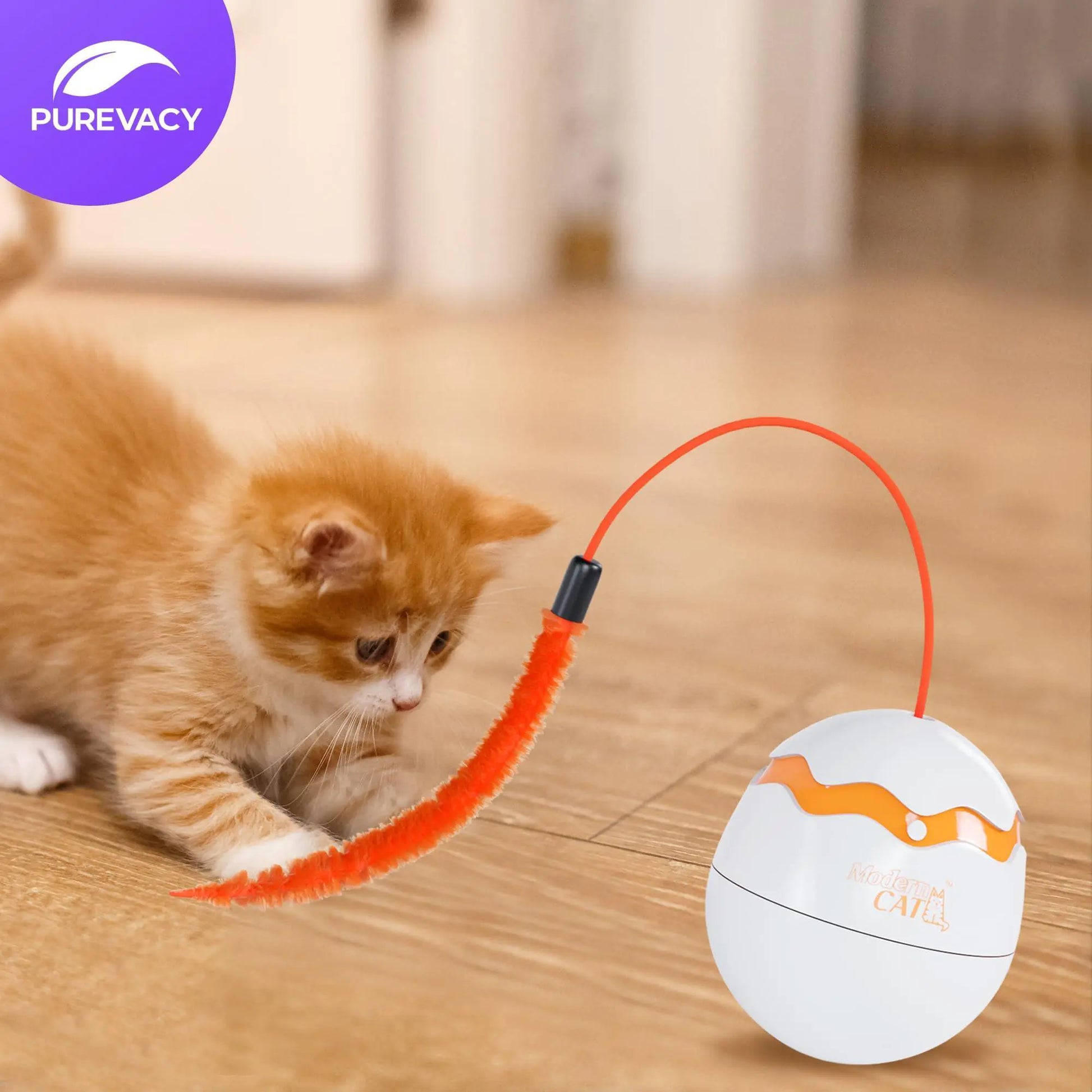 Interactive Cat Toy Dino Egg White Automatic Toy with 360 Degree Rotation Auto Fair Prices Online