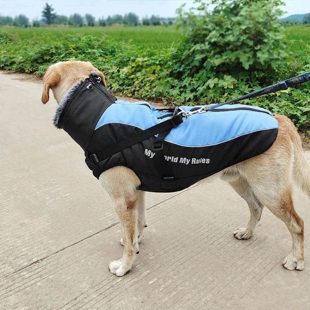 Waterproof Thicken Winter Dog Coat with Harness for Medium to Large Dogs Fair Prices Online