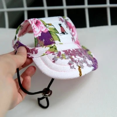 Dog Pet Baseball Cap Fair Prices Online