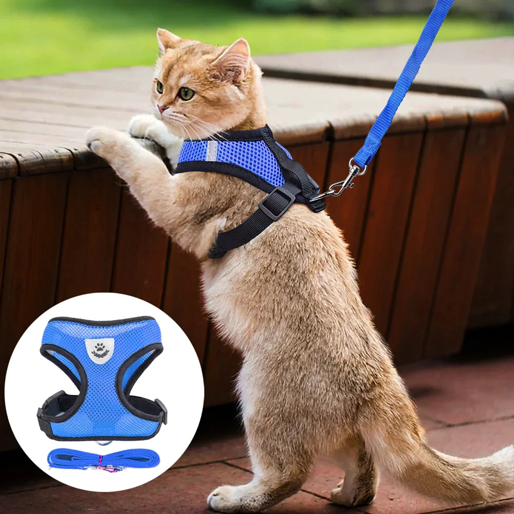 Cat Dog Pet Harness Adjustable Control Vest Dogs Reflective S M L XL Leash Fair Prices Online