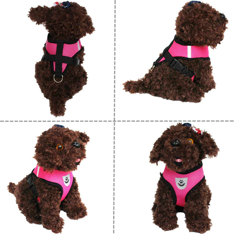 Cat Dog Pet Harness Adjustable Control Vest Dogs Reflective S M L XL Leash Fair Prices Online