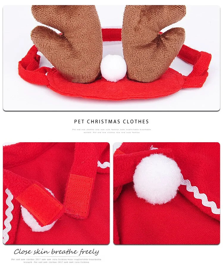 Pet Christmas Clothes Fair Prices Online