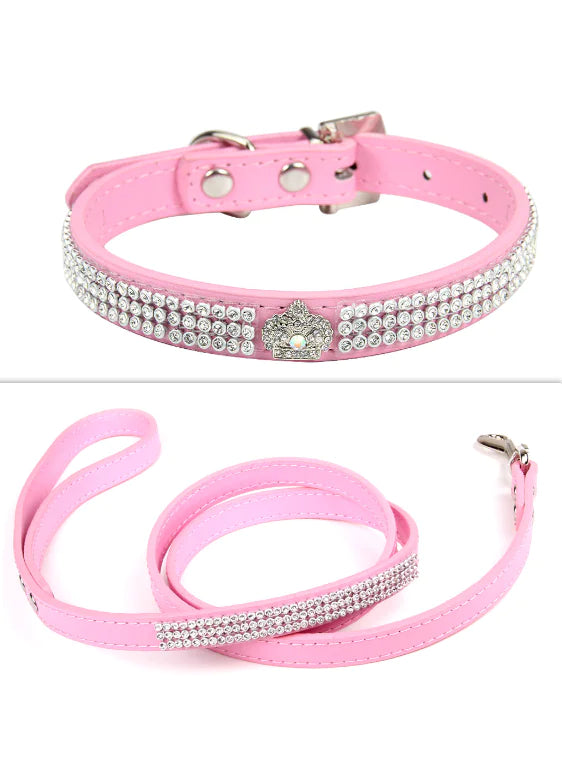 Pet Collar Fair Prices Online