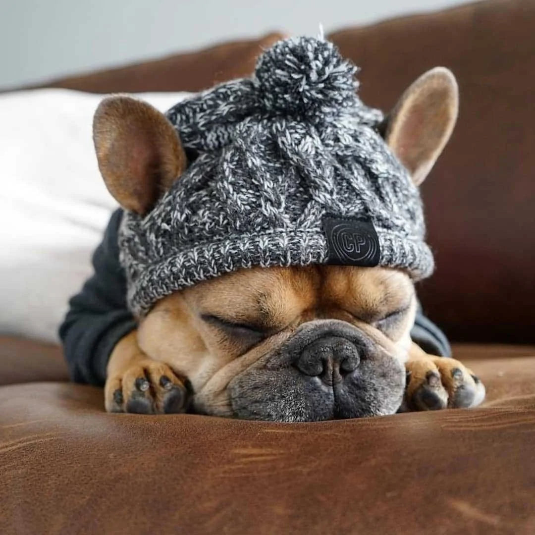 Warm Winter Pet Hat Fair Prices Online