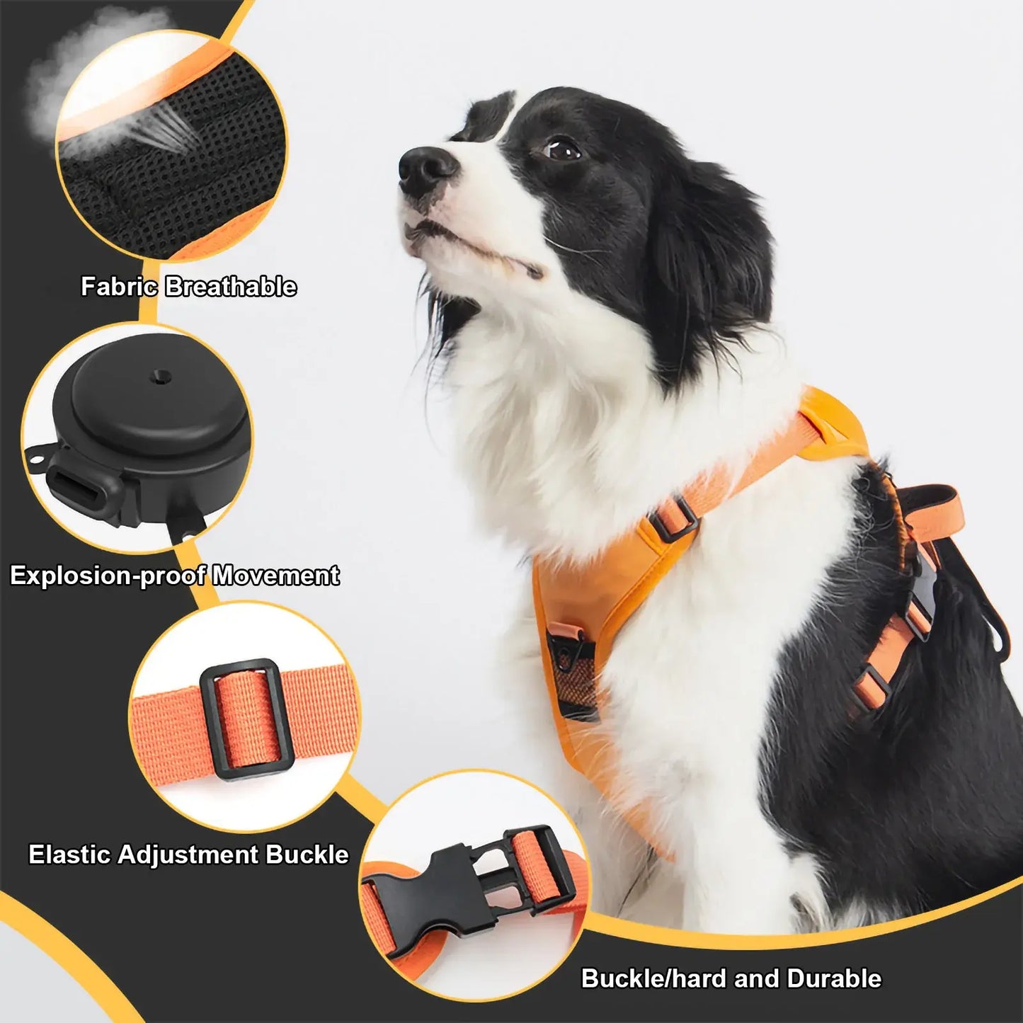 Flexible Retractable Leash for Medium-Large Dogs Fair Prices Online