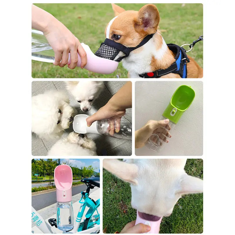 Pet Dog Water Bottle Feeder - Fair Prices Online