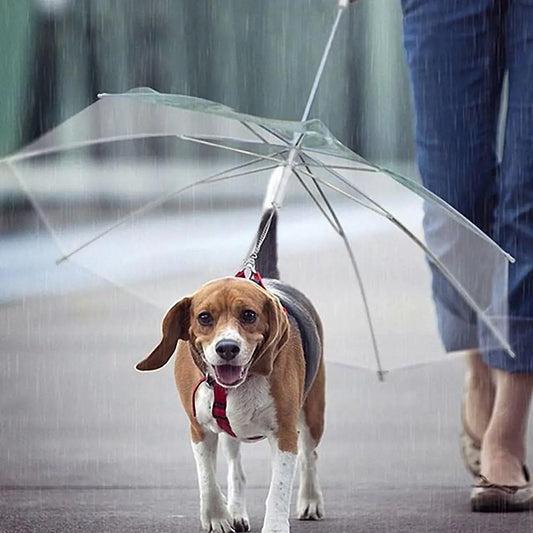 Pet Umbrella Leash Fair Prices Online