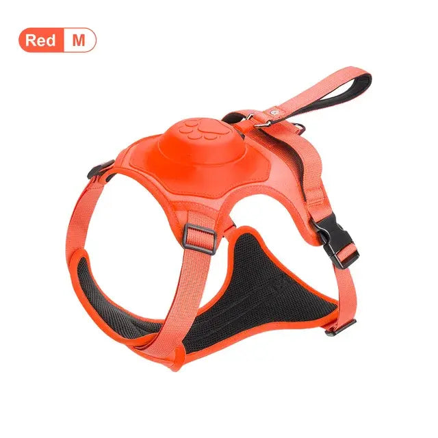 Flexible Retractable Leash for Medium-Large Dogs Fair Prices Online