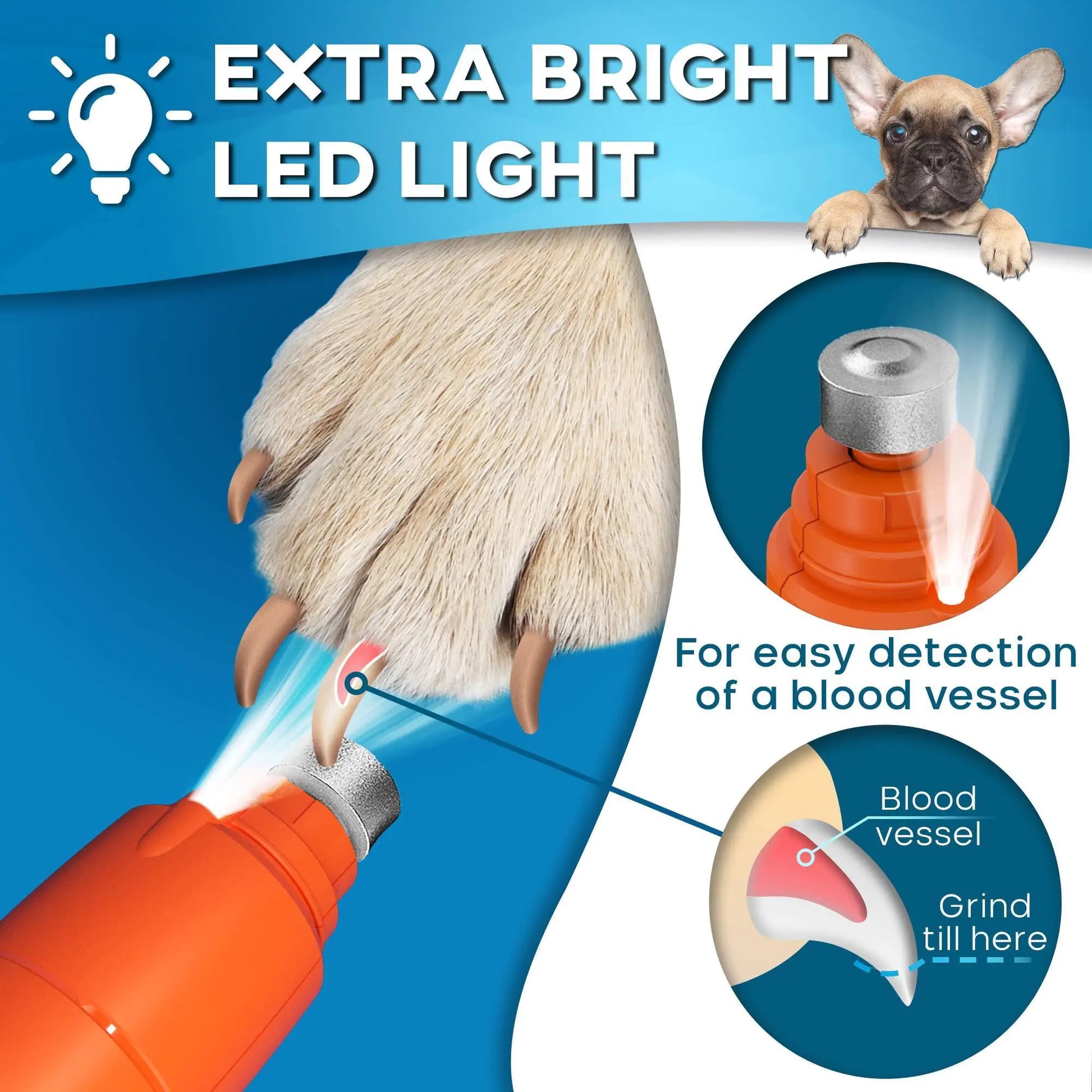 Dog Nail Grinder with LED Light Rechargeable for Large Medium & Small Dogs Fair Prices Online