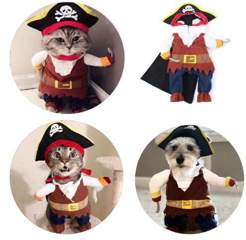 Pirate Costume For Small Medium Dogs Cats Fair Prices Online