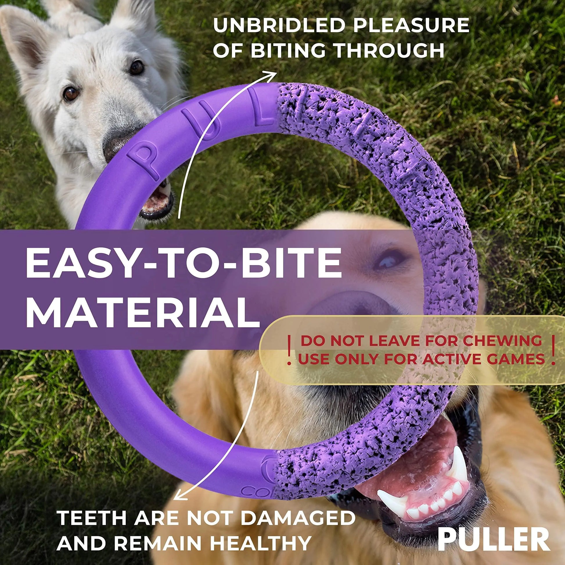 Puller Outdoor Dog Ring Toys Dog Fetch for Large Dogs Standard Size 2 Rings Fair Prices Online