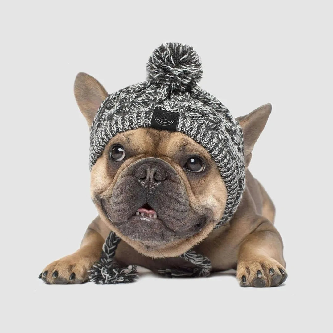 Warm Winter Pet Hat Fair Prices Online