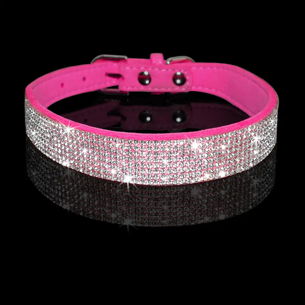 Pet Collar Fair Prices Online