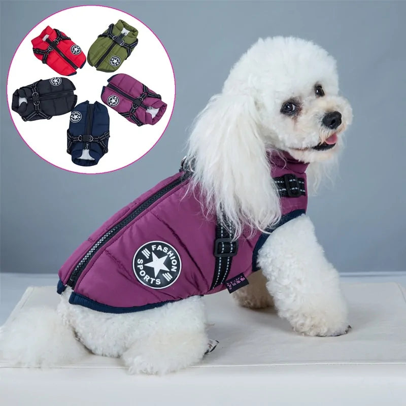 Pet Harness Fair Prices Online