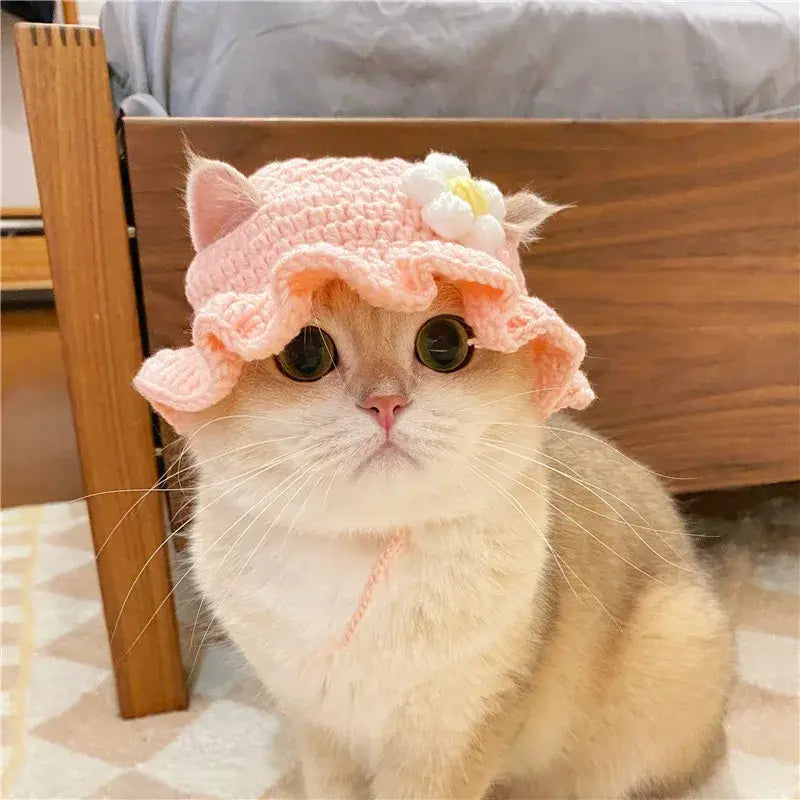 Cute Refined Pet Hat Fair Prices Online