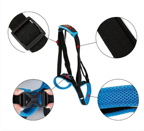 Pet Leg Support Fair Prices Online