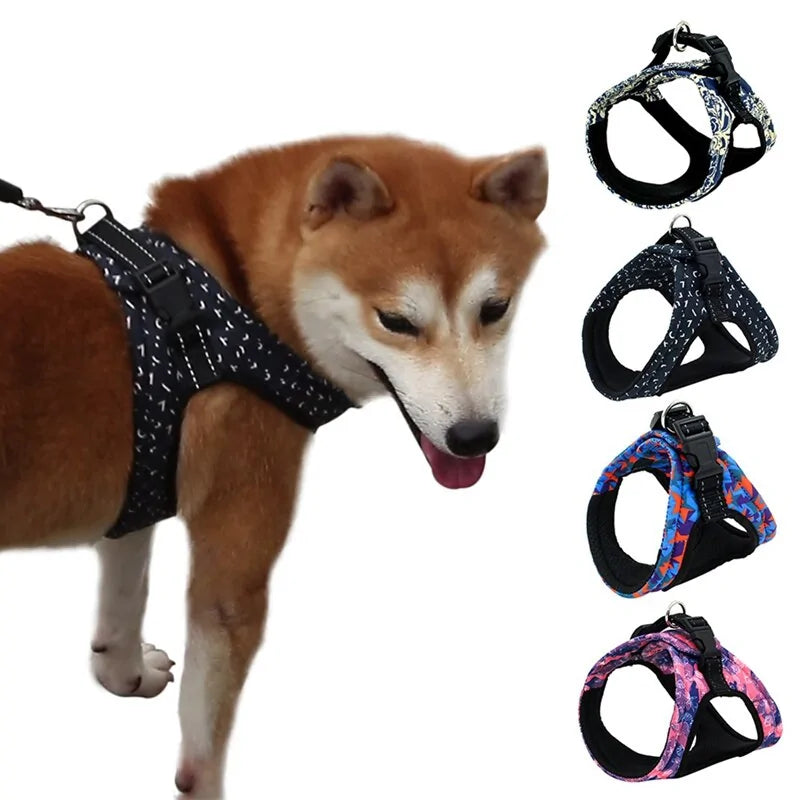 Stylish Secure Harness For Small To Medium Dogs Fair Prices Online