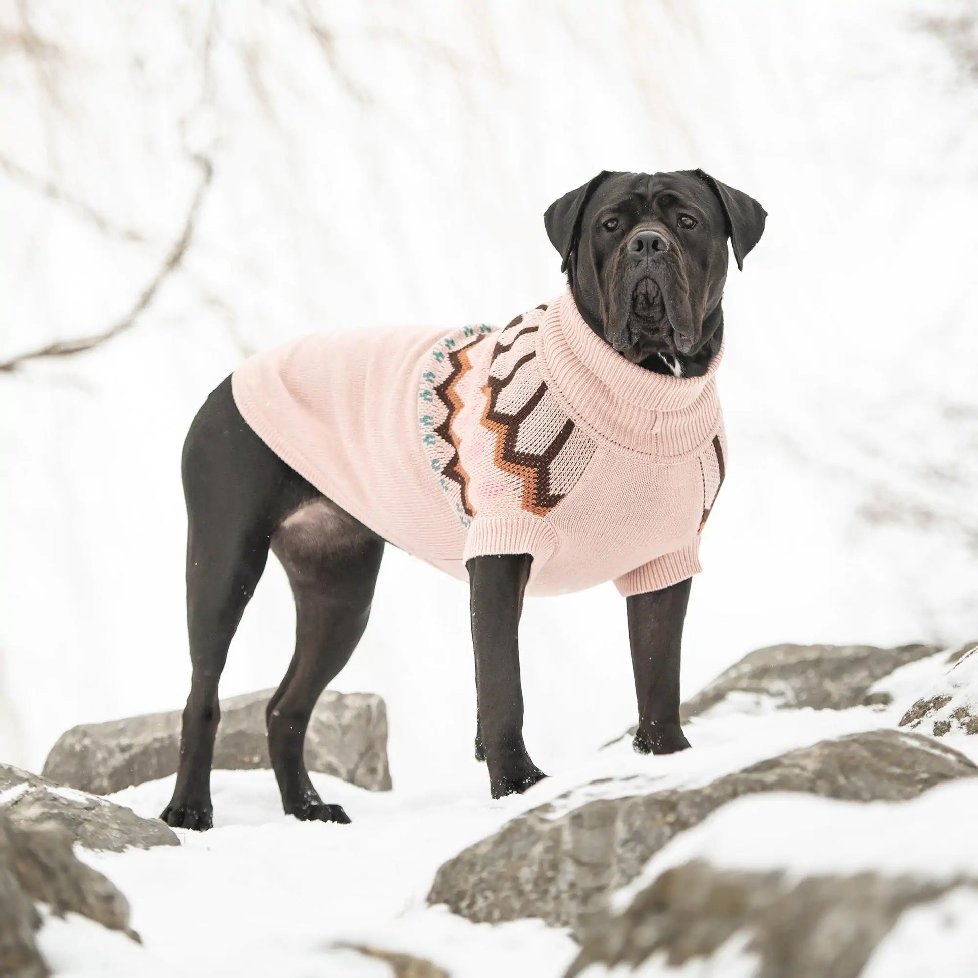 Heritage Sweater - Pink Fair Prices Online